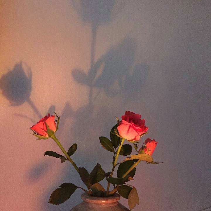 離婚冷靜期能不能提前結(jié)束?